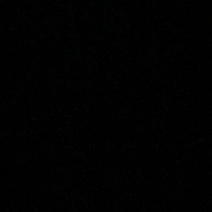 Meet your Posher, Audrey